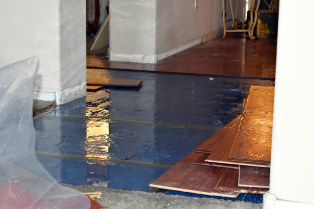 Professional Flood Damage Restoration technician working in Paramount, CA